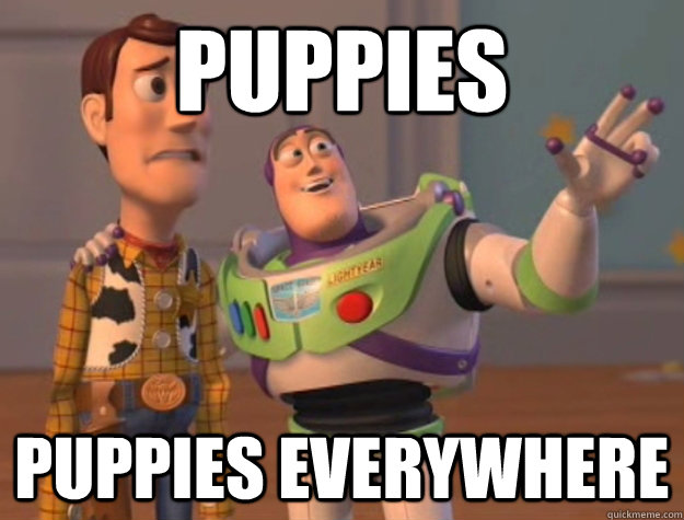 puppies puppies everywhere - Buzz Lightyear