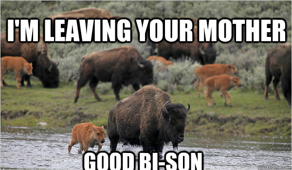 im leaving your mother good bison -