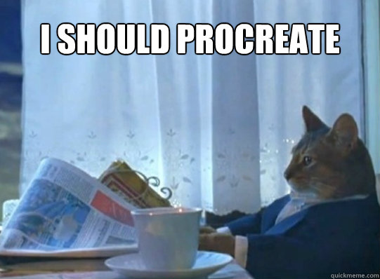 i should procreate - Forever alone sophisticated cat