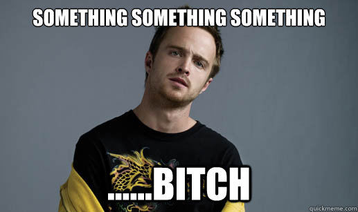 something something something bitch - Jesse Pinkman Loves the word Bitch