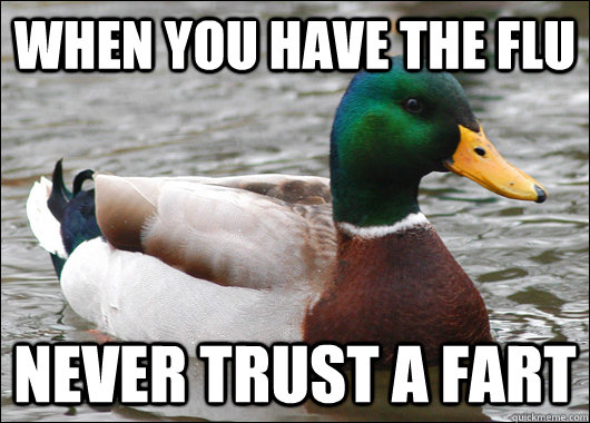 when you have the flu never trust a fart - Actual Advice Mallard