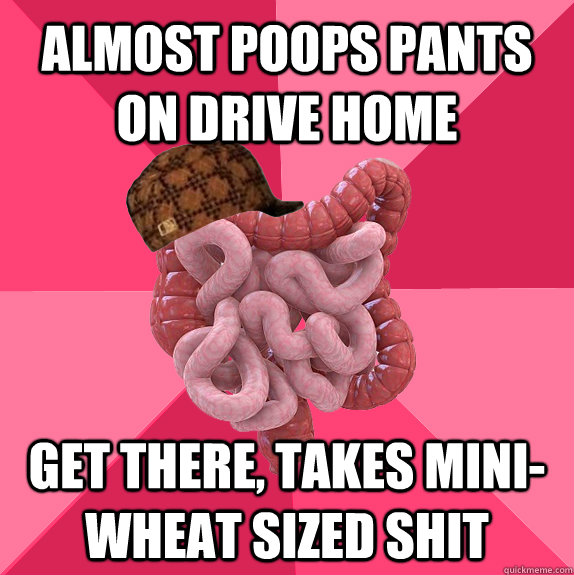 almost poops pants on drive home get there takes miniwheat - Scumbag Intestines