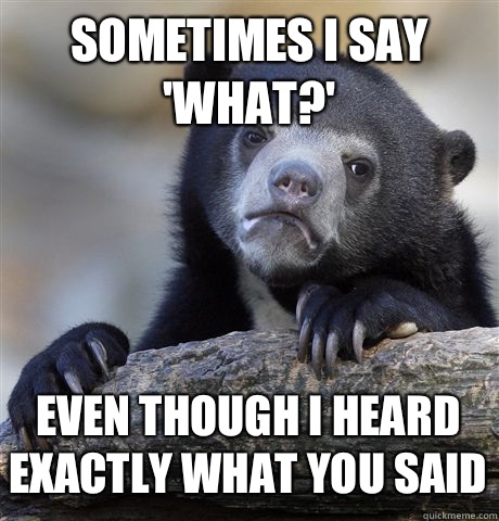 SOMETIMES I SAY WHAT EVEN THOUGH I HEARD EXACTLY WHAT YOU SA - Confession Bear