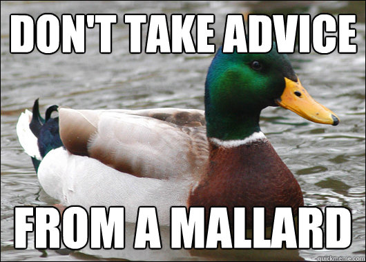 dont take advice from a mallard - Actual Advice Mallard