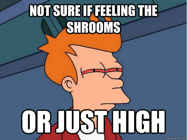 not sure if feeling the shrooms or just high - High Fry