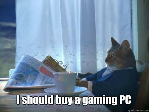 i should buy a gaming pc - Fancy Cat