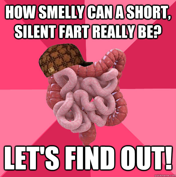 how smelly can a short silent fart really be lets find ou - Scumbag Intestines