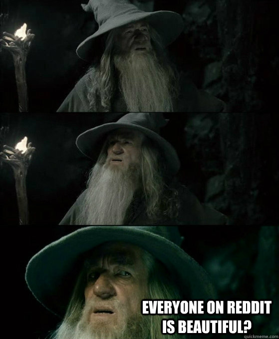 everyone on reddit is beautiful - No memory Gandalf