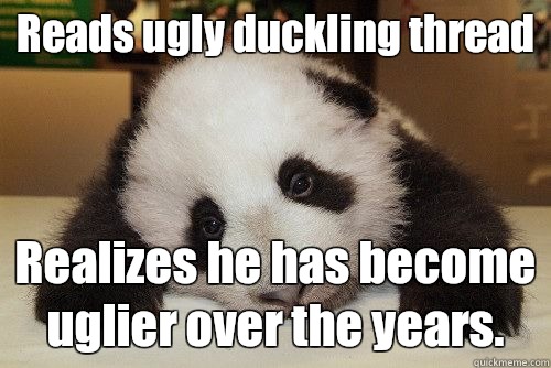 Reads ugly duckling thread 18 people hate me - Sad panda