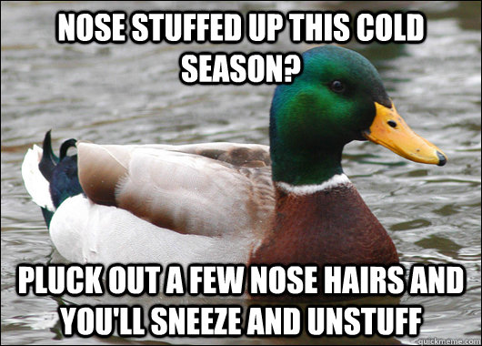 nose stuffed up this cold season pluck out a few nose hairs - Actual Advice Mallard
