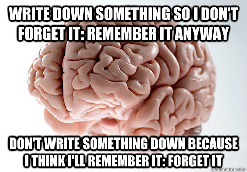 write down something so i dont forget it remember it anywa - Scumbag Brain