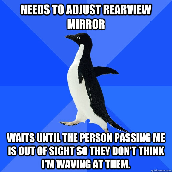 needs to adjust rearview mirror waits until the person passi - Socially Awkward Penguin