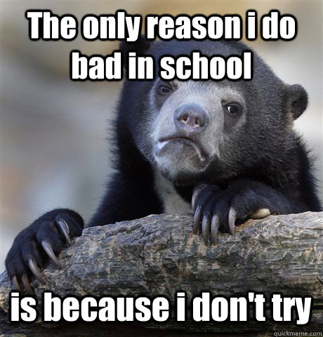 the only reason i do bad in school is because i dont try - Confession Bear