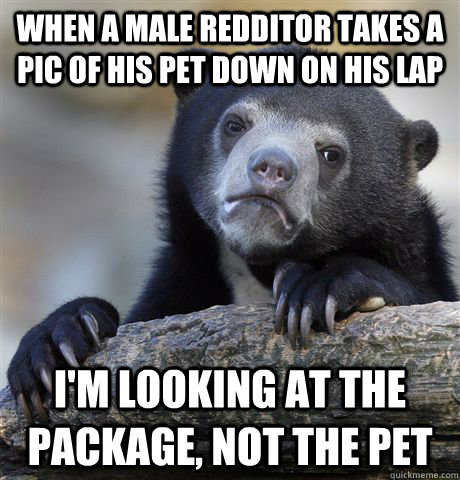 when a male redditor takes a pic of his pet down on his lap - Confession Bear