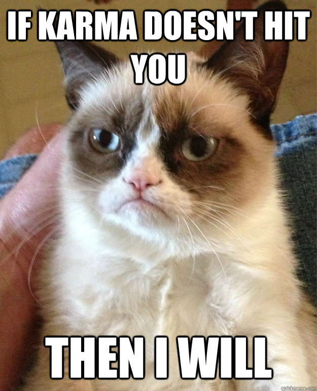 if karma doesnt hit you then i will - Grumpy Cat