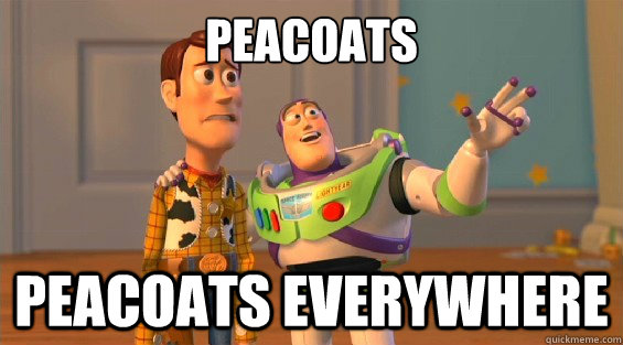 peacoats peacoats everywhere - woody and buzz downvoters