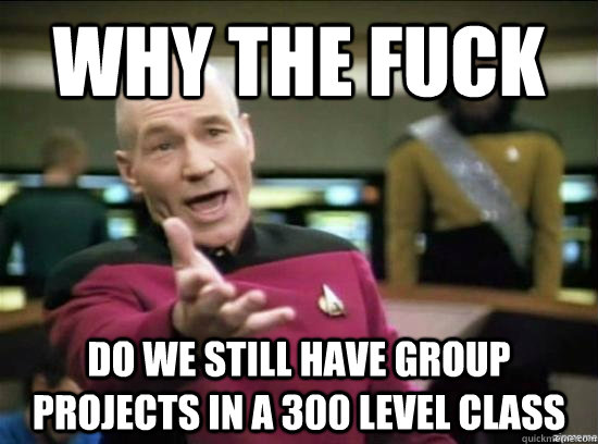 why the fuck do we still have group projects in a 300 level - Annoyed Picard HD
