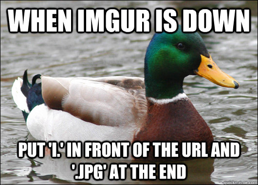 when imgur is down put i in front of the url and jpg a - Actual Advice Mallard