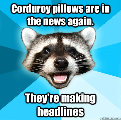 corduroy pillows are in the news again theyre making headl - Lame Pun Coon