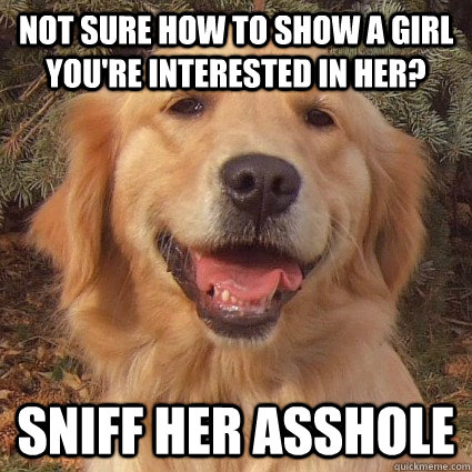not sure how to show a girl youre interested in her sniff - Good Advice Golden