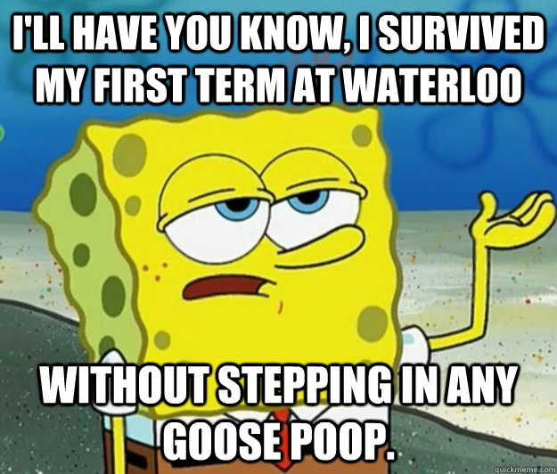 ill have you know i survived my first term at waterloo wit - Tough Spongebob