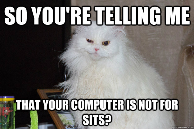 so youre telling me that your computer is not for sits -