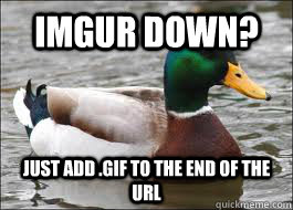 imgur down just add gif to the end of the url - Good Advice Duck