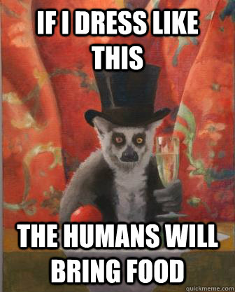if i dress like this the humans will bring food -