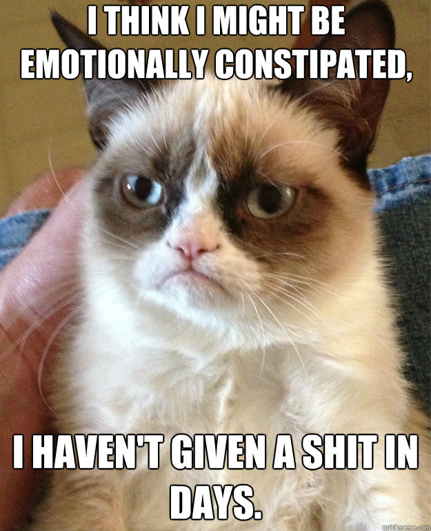 i think i might be emotionally constipated i havent given - Grumpy Cat