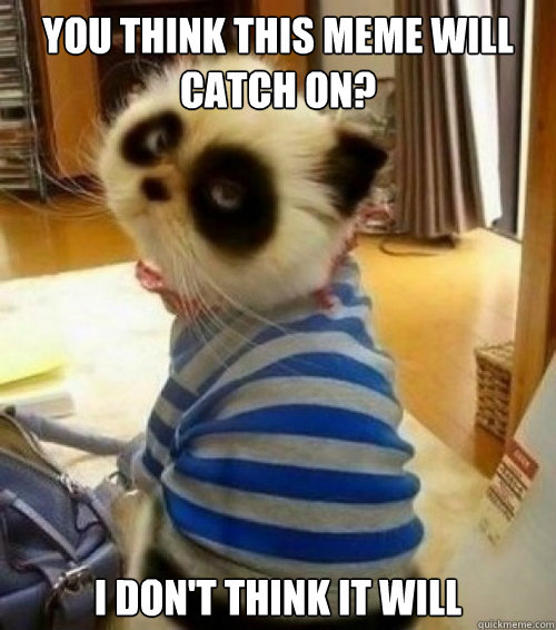 you think this meme will catch on i dont think it will - Pessimistic Panda Cat