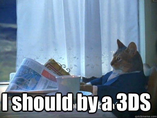 i should by a 3ds - Rich cat is rich