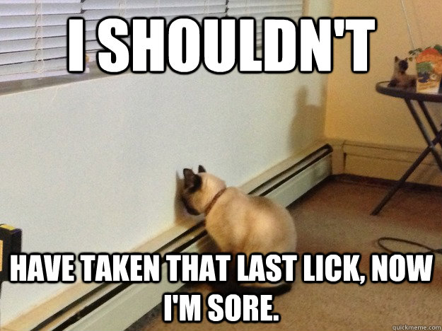 i shouldnt have taken that last lick now im sore - Regretful Cat