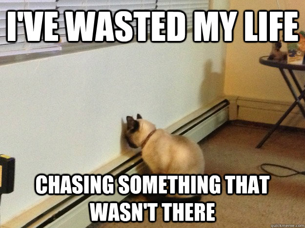ive wasted my life chasing something that wasnt there - Regretful Cat