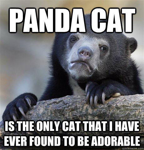 panda cat is the only cat that i have ever found to be adora - Confession Bear