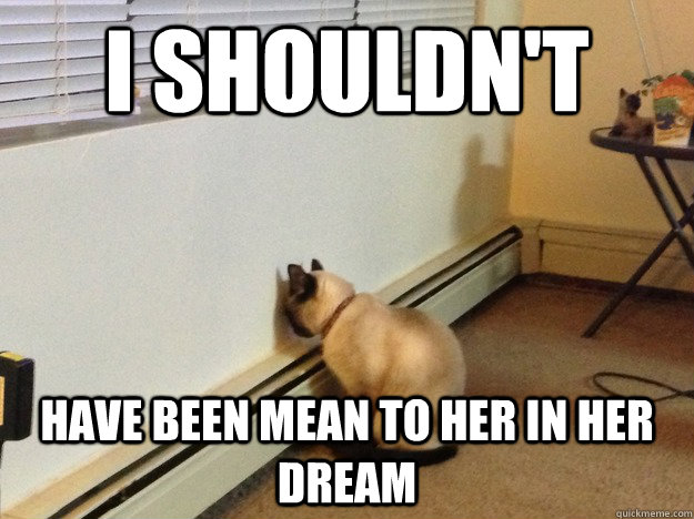 i shouldnt have been mean to her in her dream - Regretful Cat
