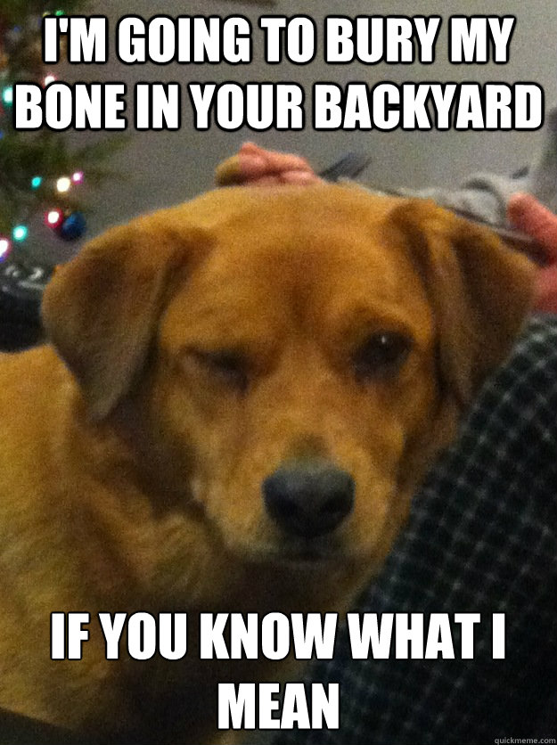 im going to bury my bone in your backyard if you know what - Innuendo dog