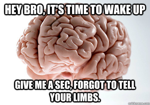 hey bro its time to wake up give me a sec forgot to tell - Scumbag Brain