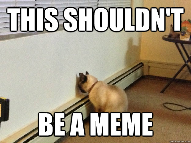 this shouldnt be a meme - Regretful Cat