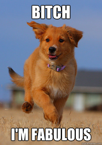 bitch im fabulous - Ridiculously Photogenic Puppy