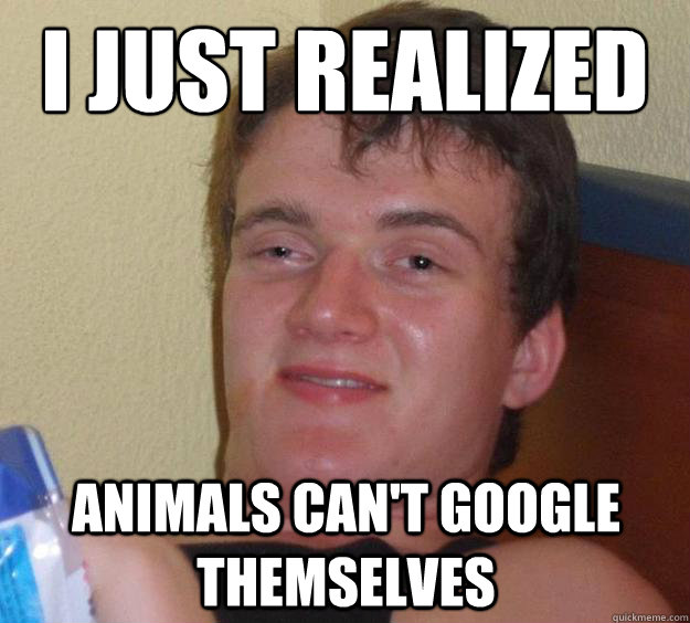 i just realized animals cant google themselves - 10 Guy
