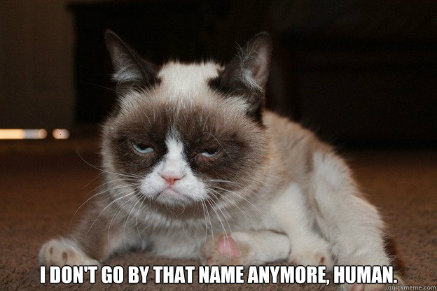 i dont go by that name anymore human - grumpy cat monday