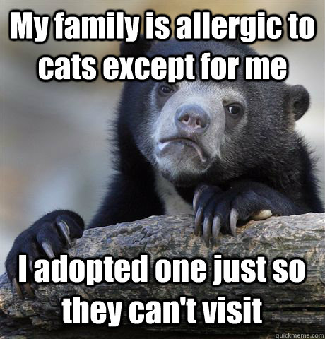 my family is allergic to cats except for me i adopted one ju - Confession Bear