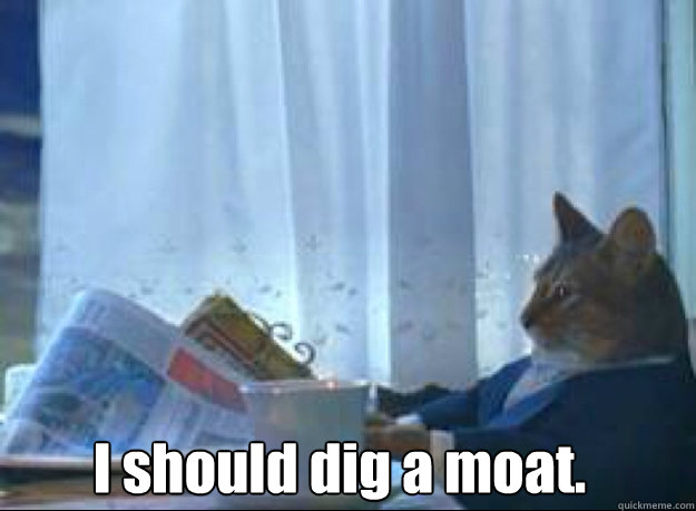 i should dig a moat - boat cat