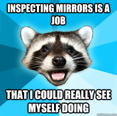 inspecting mirrors is a job that i could really see myself d - Lame Pun Coon