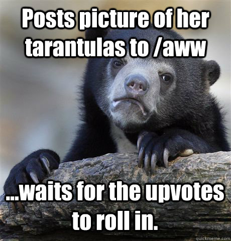 posts picture of her tarantulas to aww waits for the upv - Confession Bear