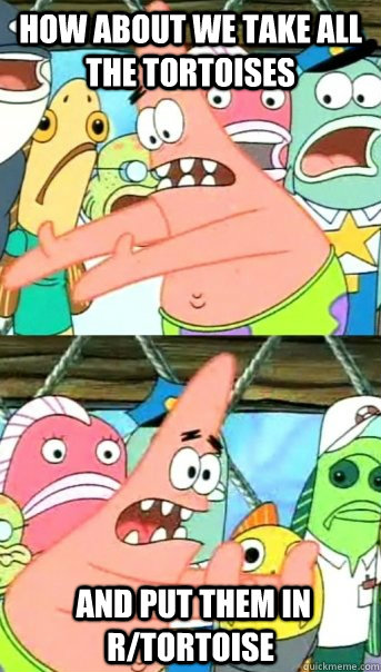 how about we take all the tortoises and put them in rtorto - Push it somewhere else Patrick