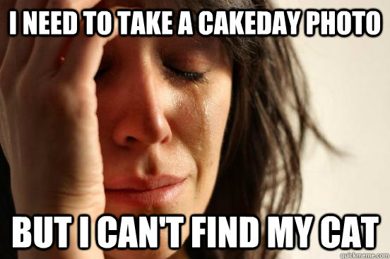 i need to take a cakeday photo but i cant find my cat - First World Problems