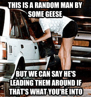 this is a random man by some geese but we can say hes leadi - Karma Whore
