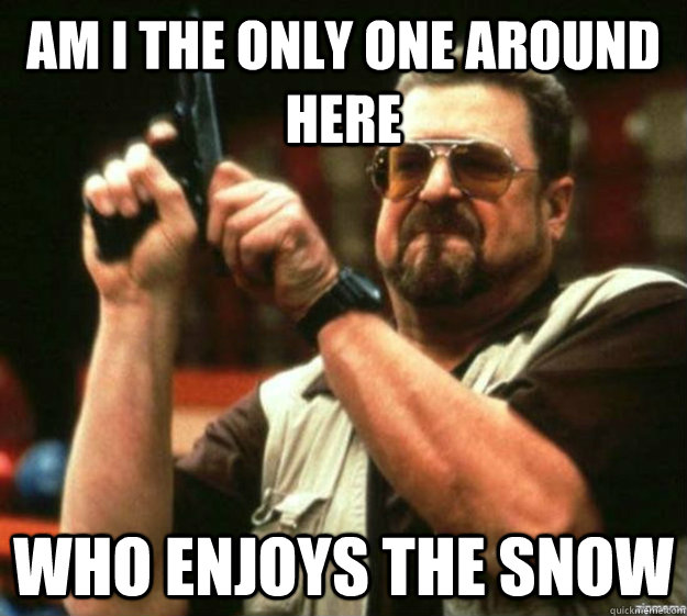 am i the only one around here who enjoys the snow - Am I the only one around here...