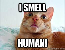 i smell human - i smell human